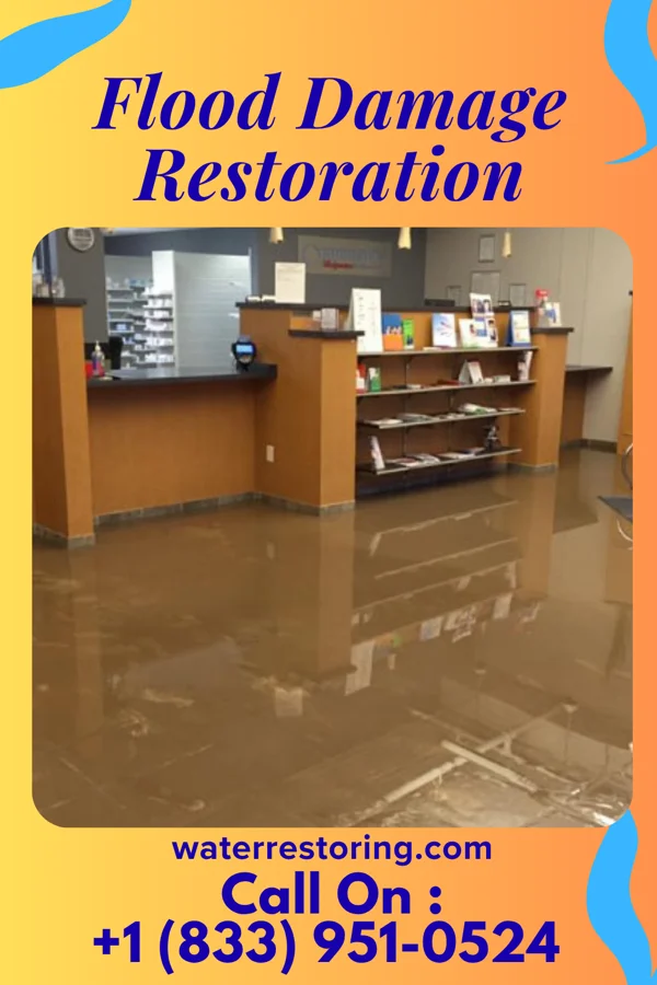 Flood Damage Restoration in Alton, IL