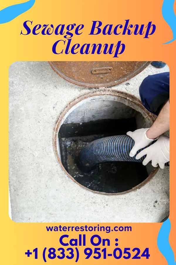 Sewage Backup Cleanup in Alton, IL